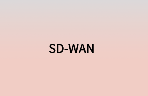 對企業(yè)而言，SD-WAN意味著什么?
